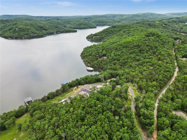 10393 Cedar Rock Rd, Garfield, AR 72732 - drone / aerial view of a nearby body of water and a heavily wooded area