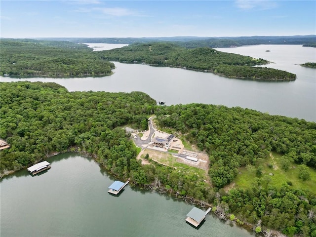 10393 Cedar Rock Rd, Garfield, AR 72732 - drone / aerial view of a forest and a large body of water