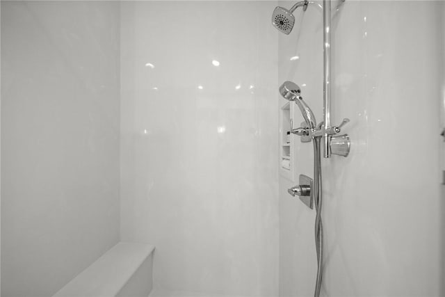 10393 Cedar Rock Rd, Garfield, AR 72732 - bathroom view of a shower