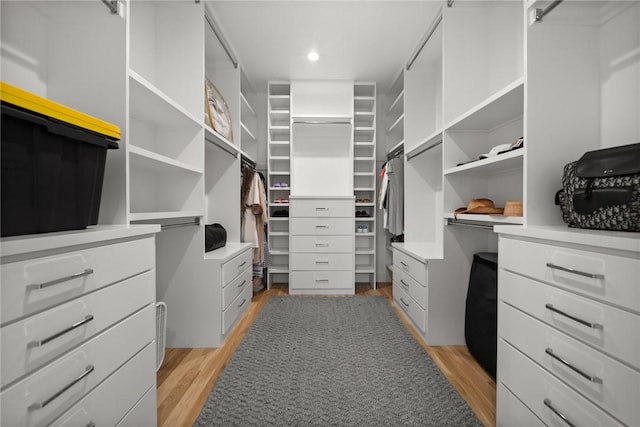 10393 Cedar Rock Rd, Garfield, AR 72732 - walk in closet with light wood finished floors