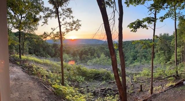 12883 Nickels Rd, West Fork, AR 72774 - mountain view