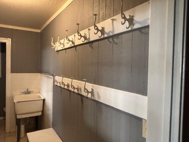 12883 Nickels Rd, West Fork, AR 72774 - bathroom with crown molding, a textured ceiling, a wainscoted wall, and a sink