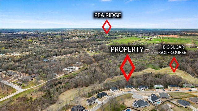 2055 Collins Dr, Pea Ridge, AR 72751 - view of property location