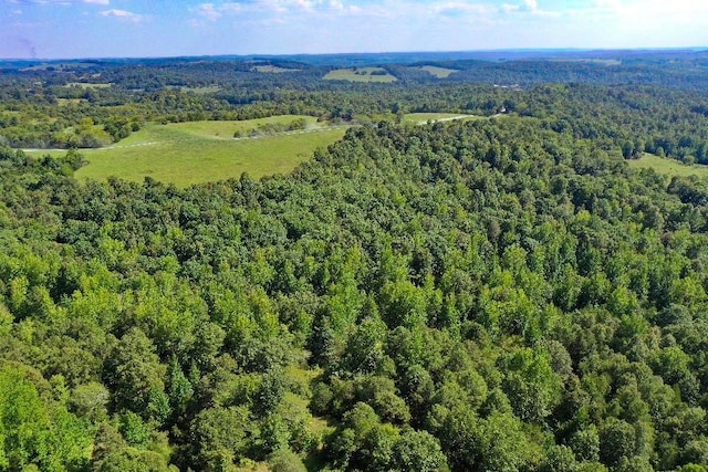 3464 N Main St, Mount Pleasant, AR 72561