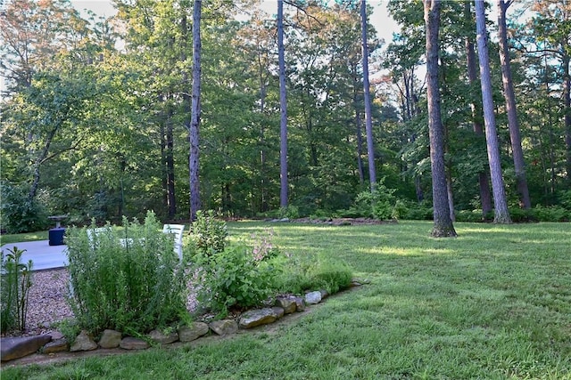 29 Bassingham Dr, Bella Vista, AR 72715 - view of grassy yard featuring a wooded view