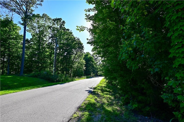 29 Bassingham Dr, Bella Vista, AR 72715 - view of asphalt road