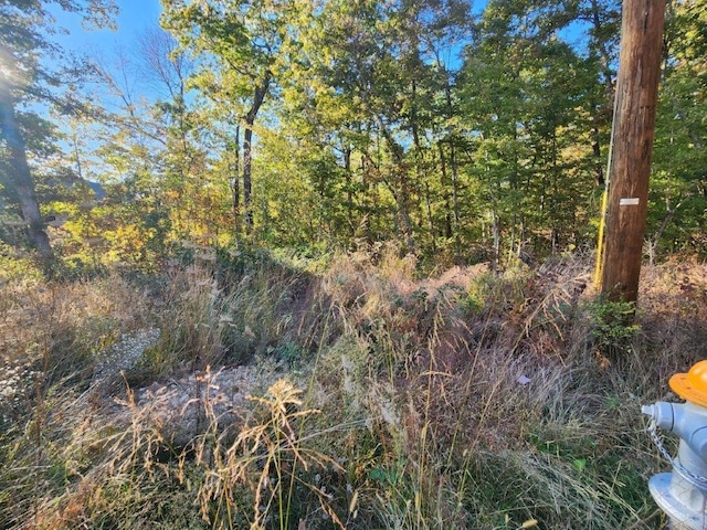 LOT5PERTHDR Worth Pl, Bella Vista, AR 72715 - photo 9