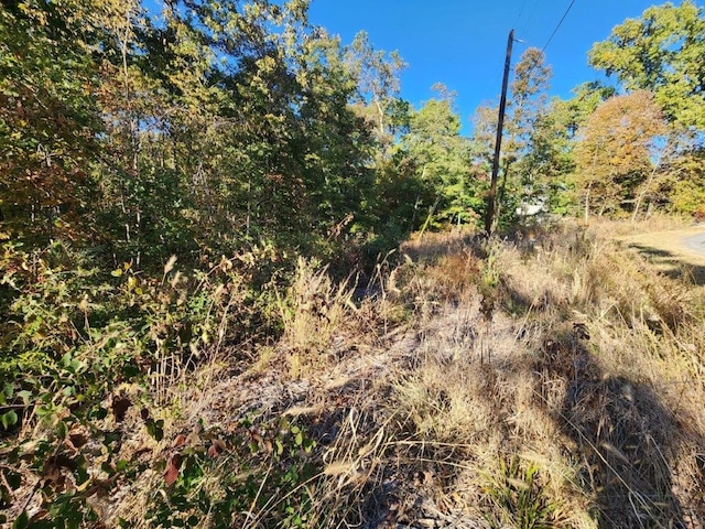 LOT5PERTHDR Worth Pl, Bella Vista, AR 72715 - photo 11