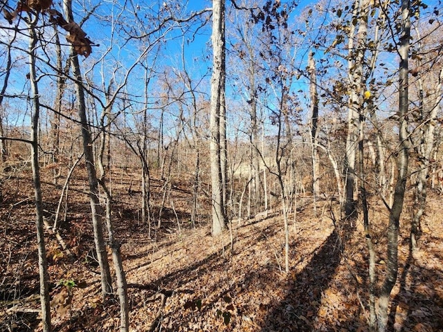 LOT5PERTHDR Worth Pl, Bella Vista, AR 72715 - photo 13
