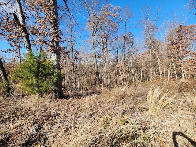 LOT5PERTHDR Worth Pl, Bella Vista, AR 72715 - photo 15
