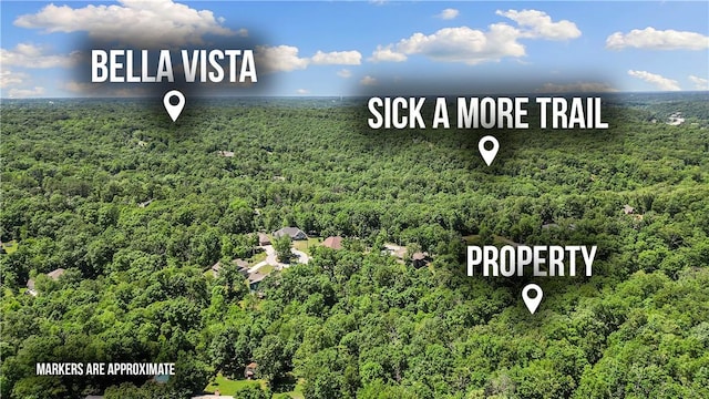 LOT8 Miller Dr, Bella Vista, AR 72715 - photo 1