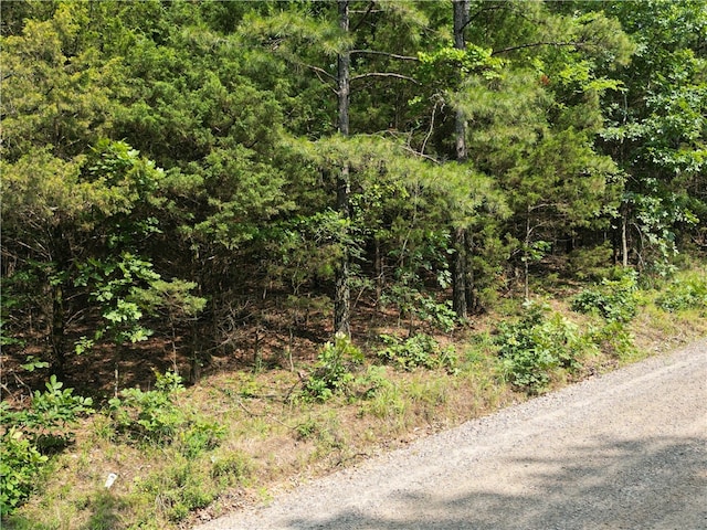 LOT19 Sunny Springs Dr, Dover, AR 72837 - photo 3