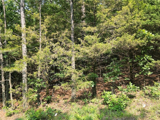 LOT19 Sunny Springs Dr, Dover, AR 72837 - photo 4