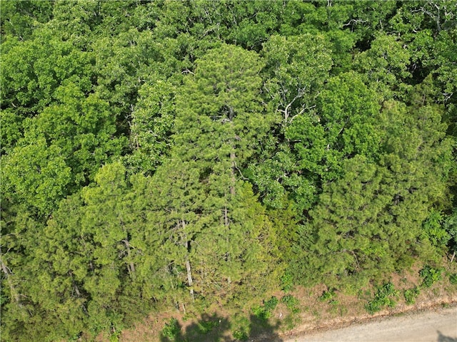 LOT19 Sunny Springs Dr, Dover, AR 72837 - photo 6