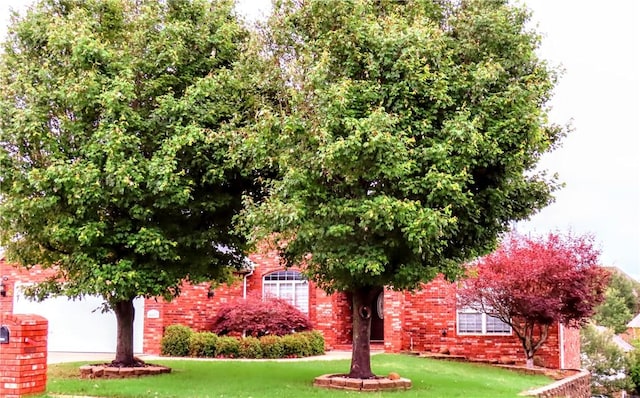 4007 Georgia St, Springdale, AR 72762 - view of property hidden behind natural elements featuring brick siding and a front yard