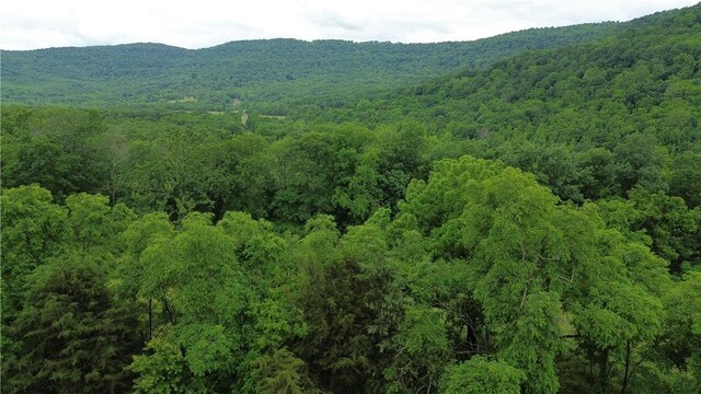 9907 Ar 74 Hwy W, Jasper, AR 72641 - photo 31