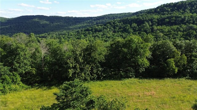 9907 Ar 74 Hwy W, Jasper, AR 72641 - photo 34