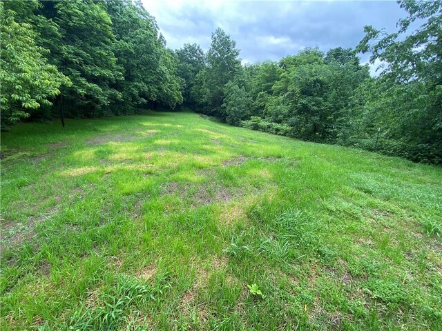 9907 Ar 74 Hwy W, Jasper, AR 72641 - photo 38
