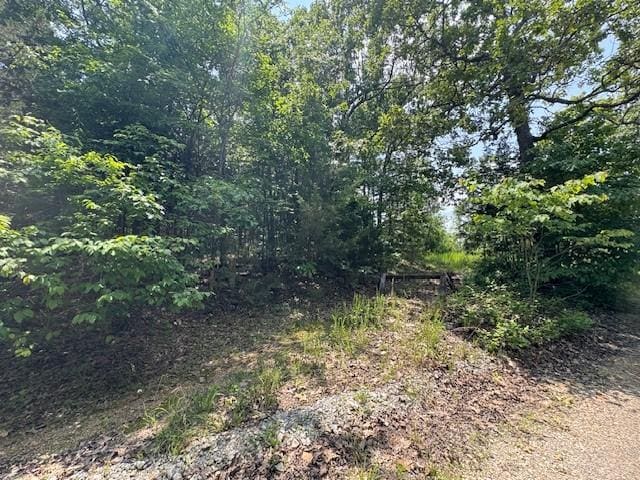 46 Worthen Dr, Mountain Home, AR 72653 - photo 1
