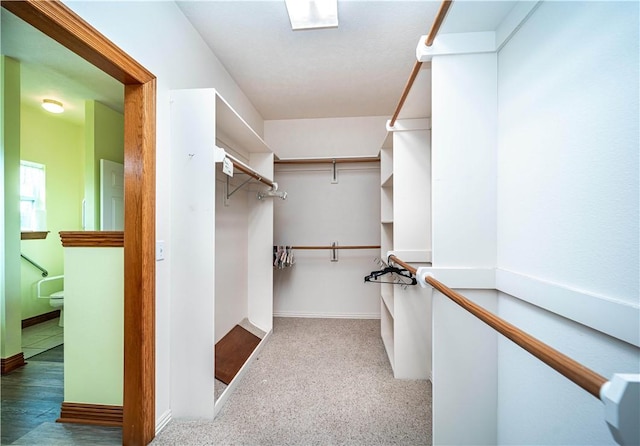 17 La Costa Dr, Holiday Island, AR 72631 - view of spacious closet