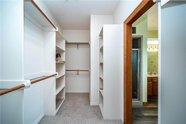 17 La Costa Dr, Holiday Island, AR 72631 - walk in closet featuring a sink and carpet