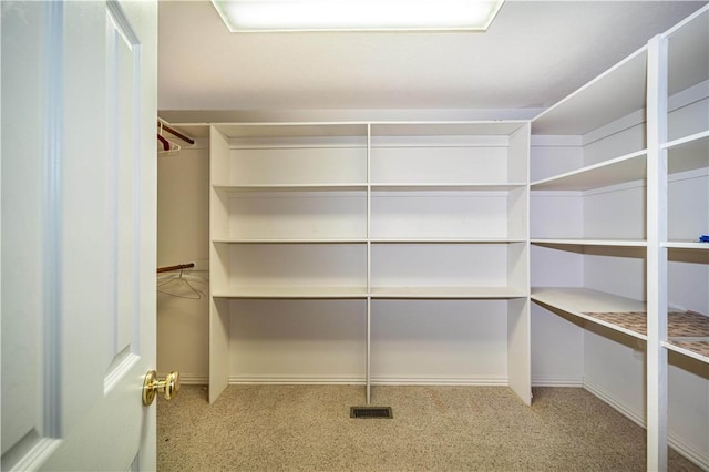17 La Costa Dr, Holiday Island, AR 72631 - spacious closet featuring carpet