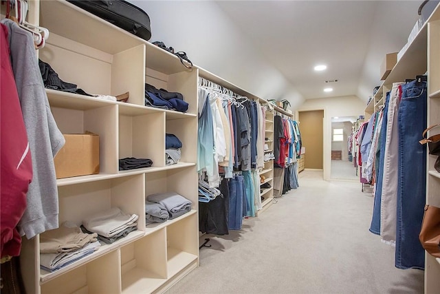 1060 Marina Way, Russellville, AR 72801 - walk in closet with carpet flooring and vaulted ceiling