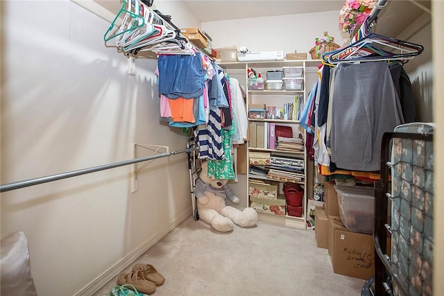 1060 Marina Way, Russellville, AR 72801 - walk in closet with carpet