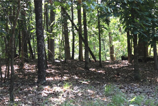 TBD Limestone Ln, Rogers, AR 72756