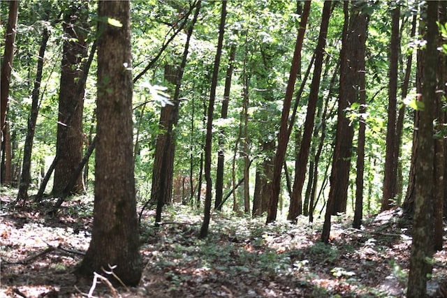 TBD Limestone Ln, Rogers, AR 72756