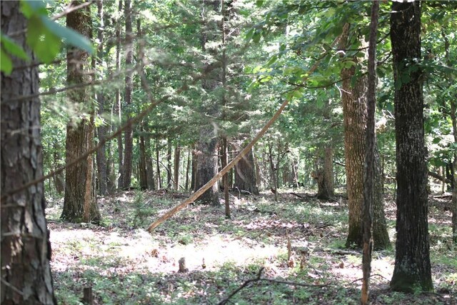 TBD Limestone Ln, Rogers, AR 72756