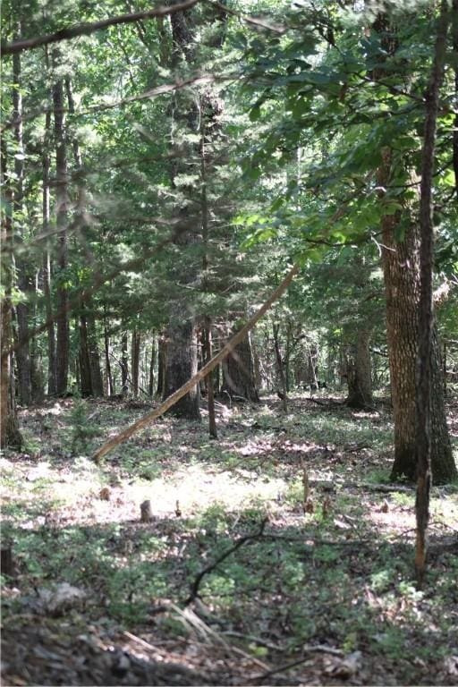 TBD Limestone Ln, Rogers, AR 72756