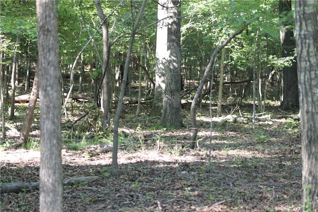 TBD Railroad Cut Rd, Rogers, AR 72756