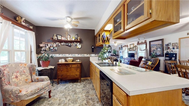 15829 N Wimpy Jones Rd, Garfield, AR 72732 - kitchen with dishwasher, ceiling fan, a sink, a peninsula, and light countertops