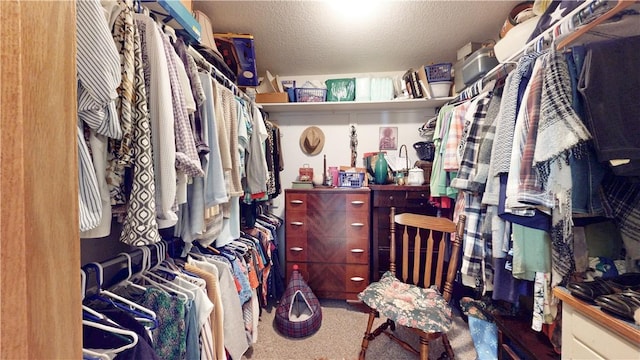 15829 N Wimpy Jones Rd, Garfield, AR 72732 - walk in closet featuring carpet floors