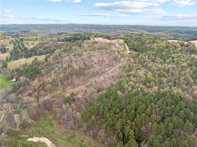 Marion County 3042, Yellville, AR 72687 - photo 6