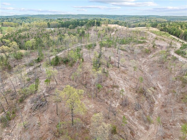 Marion County 3042, Yellville, AR 72687 - photo 7