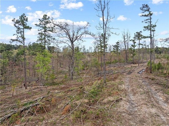 Marion County 3042, Yellville, AR 72687 - photo 10