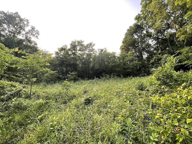 12812 Parker Branch Rd, West Fork, AR 72774