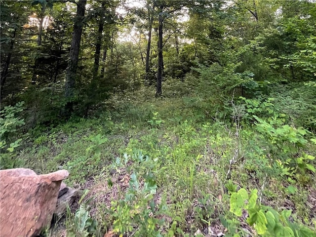 12812 Parker Branch Rd, West Fork, AR 72774