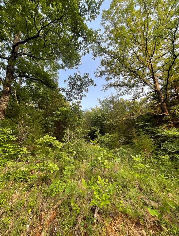 12812 Parker Branch Rd, West Fork, AR 72774