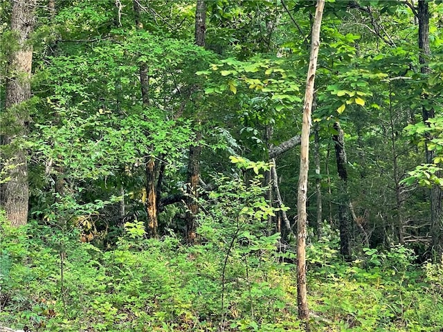 12812 Parker Branch Rd, West Fork, AR 72774