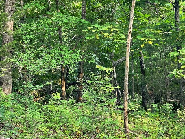 12812 Parker Branch Rd, West Fork, AR 72774 - photo 31