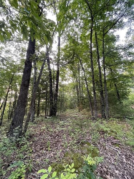 12812 Parker Branch Rd, West Fork, AR 72774