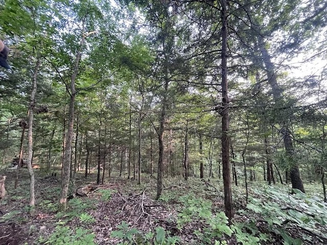 12812 Parker Branch Rd, West Fork, AR 72774