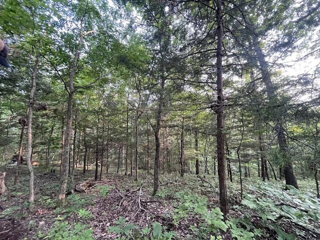 12812 Parker Branch Rd, West Fork, AR 72774 - photo 21