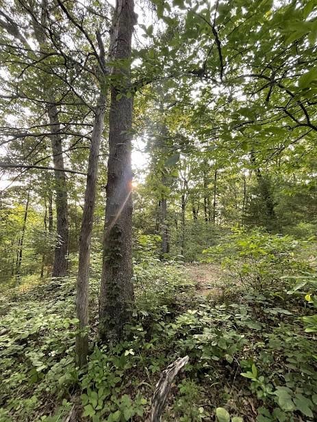 12812 Parker Branch Rd, West Fork, AR 72774