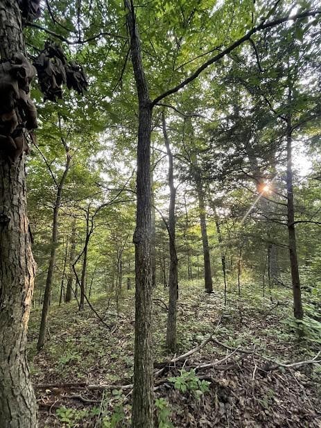 12812 Parker Branch Rd, West Fork, AR 72774
