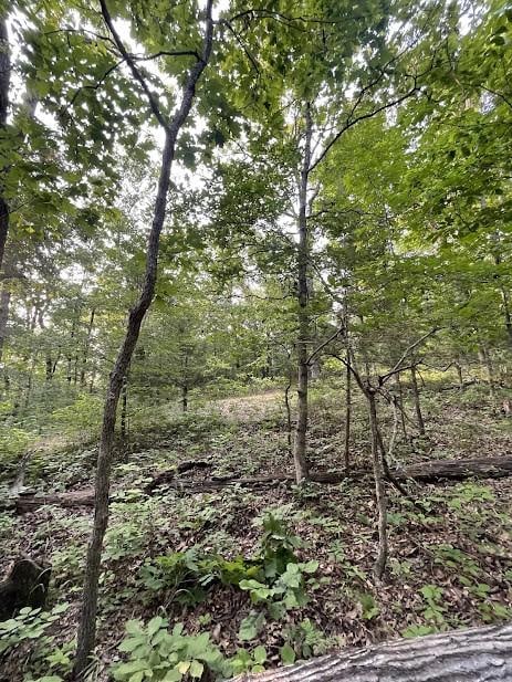12812 Parker Branch Rd, West Fork, AR 72774