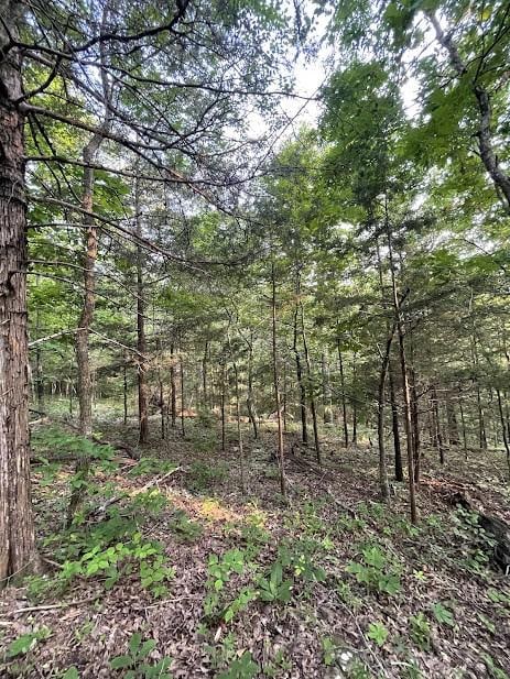 12812 Parker Branch Rd, West Fork, AR 72774